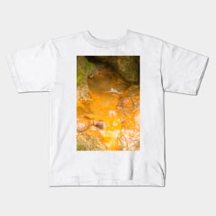 sli hot springs Kids T-Shirt